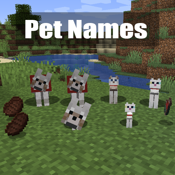 Pet