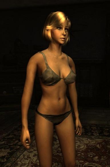 fallout new vegas armor mods - Type3 Body and Armor Replacer Mod