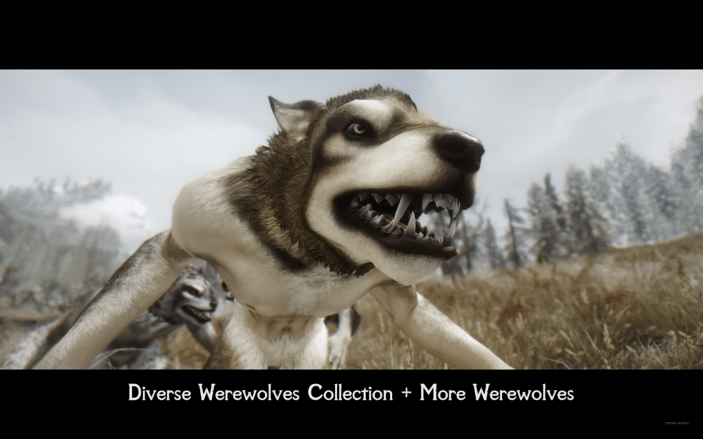 Diverse Werewolves Collection