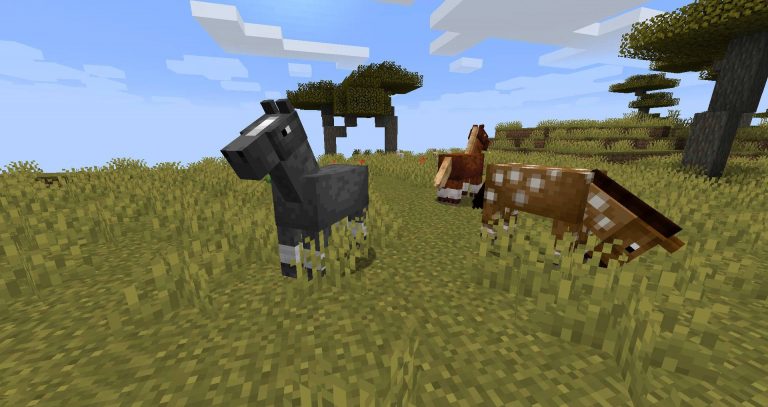 Minecraft Horse Mods You Need to Look at in 2022! - TBM | TheBestMods